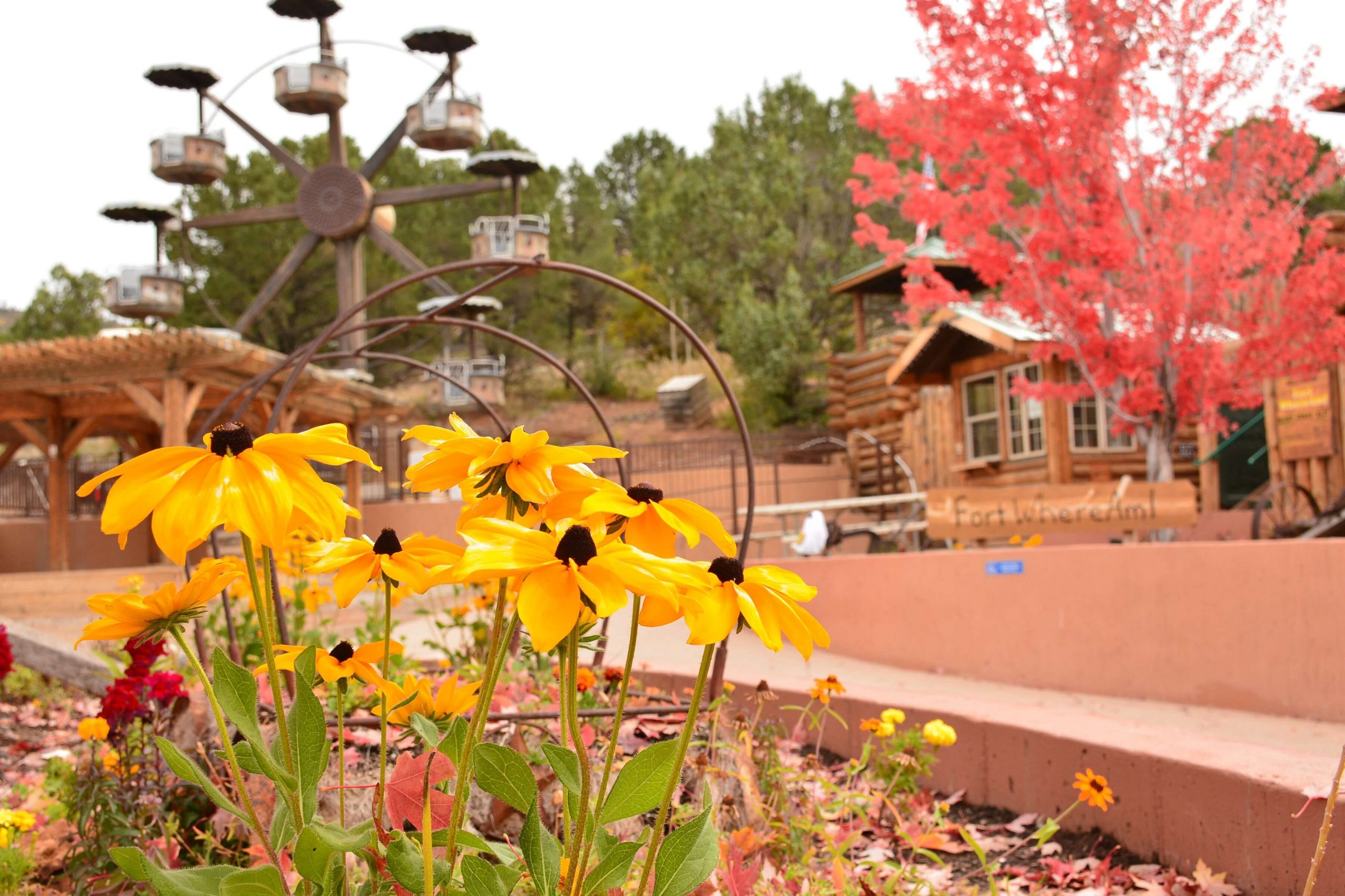 Fall is a beautiful time of year to visit Glenwood Caverns Adventure Park