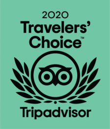 2020 Trip Advisor